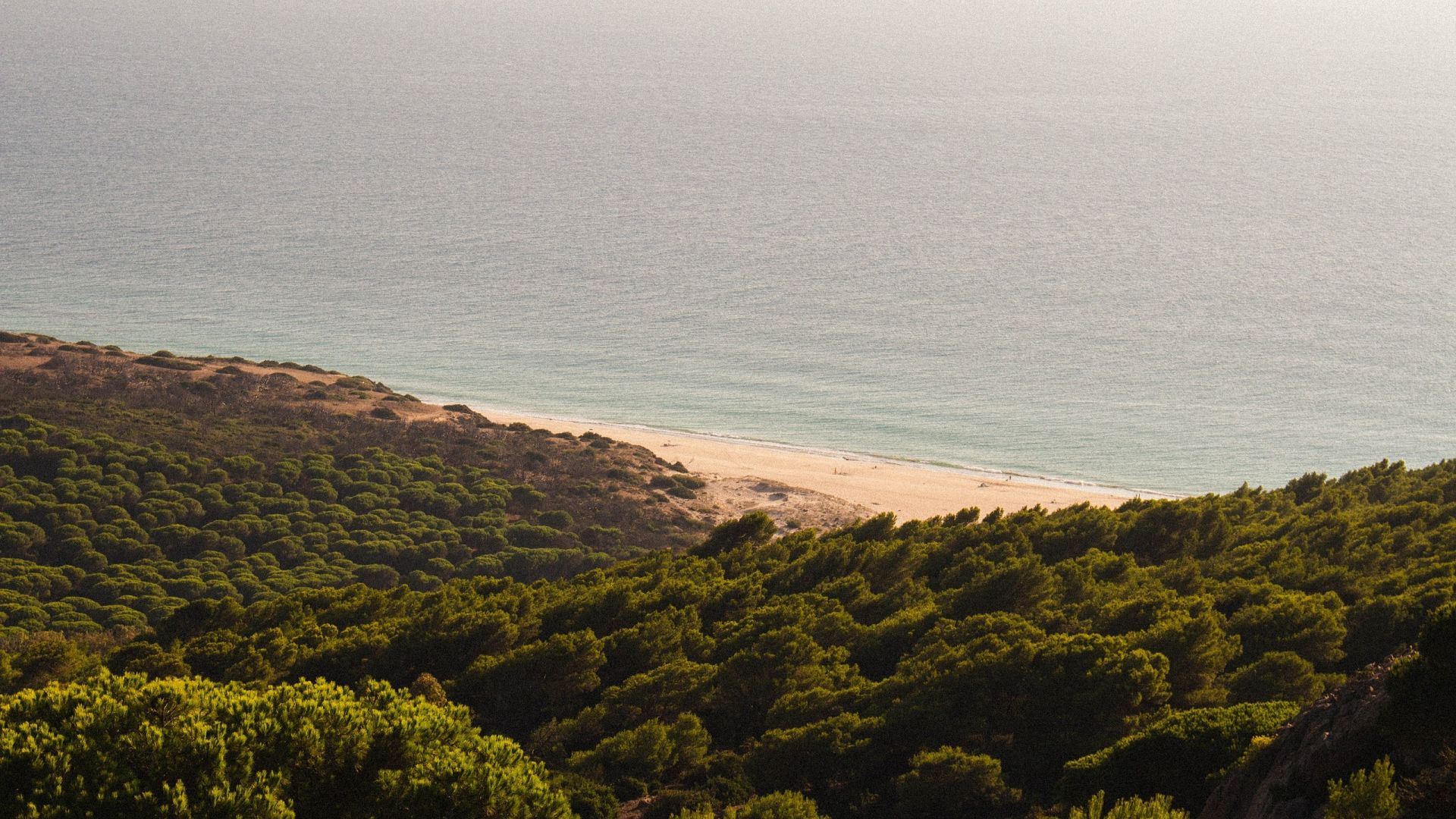 Wolontariat zagraniczny - Bolonia - Komunikacja i Zaangażowanie