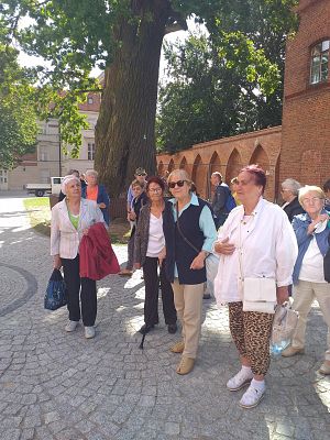 Wycieczka do Fromborka