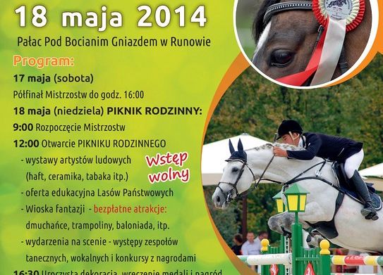 Oficjalny plakat Mistrzostw grafika