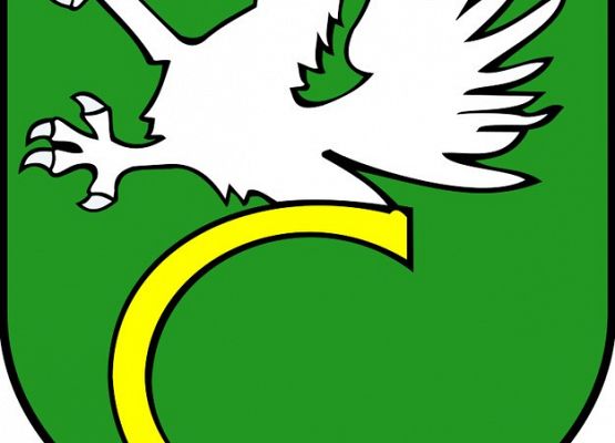 Informacja dla realizatorów Funduszu Akumulator Społeczny grafika