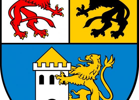 Informacja dla realizatorów Funduszu Akumulator Społeczny grafika