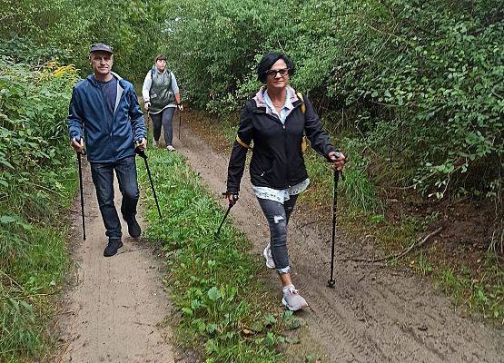 Rajd Nordic walking-szlakiem obszaru rewitalizacji-Lębork Nowy Świat grafika