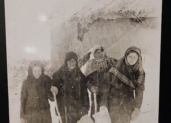 Spacer Aleją Syberiaków grafika