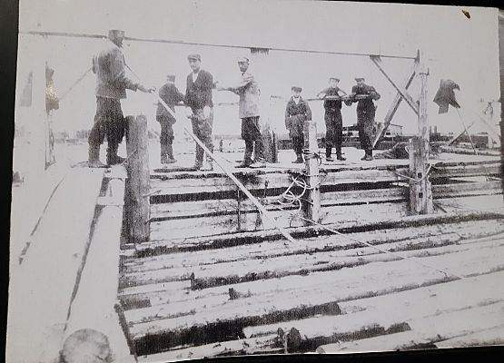 Spacer Aleją Syberiaków grafika