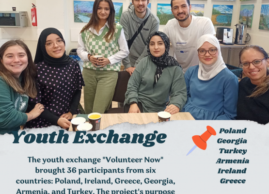 Volunteer Now grafika