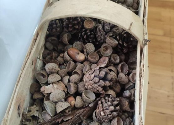 Warsztat Rękodzielniczy – Natura w Twórczości grafika