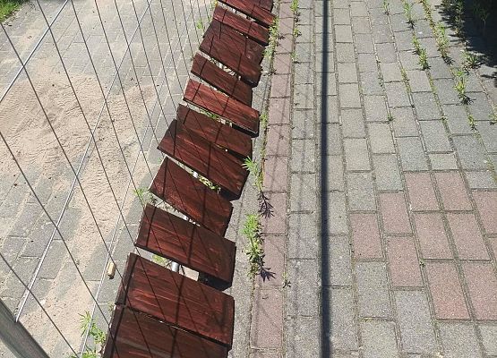 Warsztaty rękodzielniczo-porządkowe w Centrum Integracji Społecznej grafika