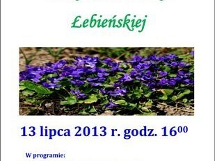 Festyn X Biesiady Łebieńskiej grafika